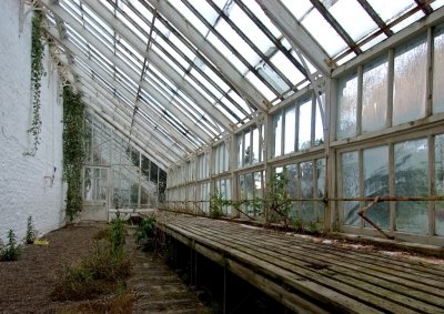 Greenhouse neglect