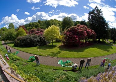 Garden renovation continues