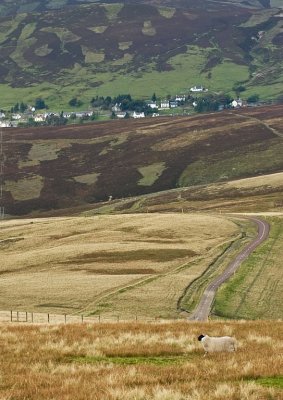 Wanlockhead from Lowther Hill