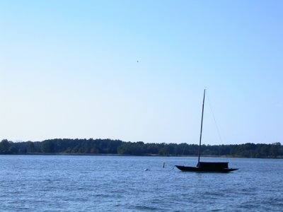 smallDSCN9773.JPG