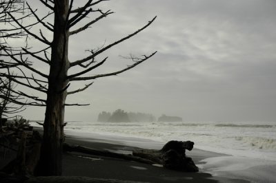 small_DSC0857.JPG
