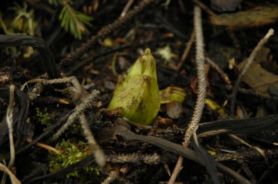small_DSC0875.JPG
