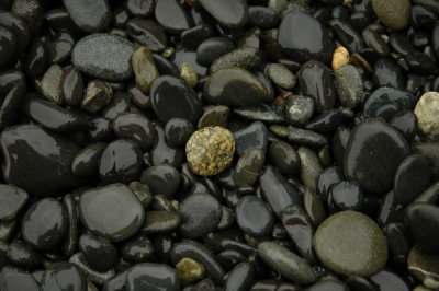 small_DSC0877.JPG