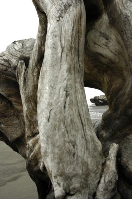 small_DSC0888.JPG