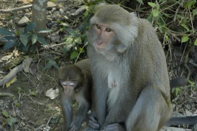 small_DSC1940.JPG