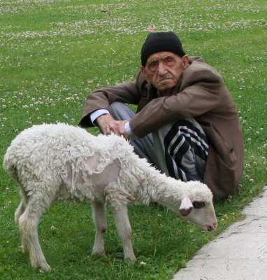 .... had a little lamb