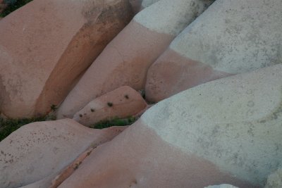 IMG_4155.JPG