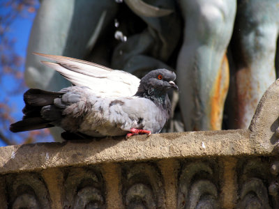 Paris France 16.jpg