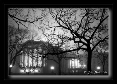 Trees & Capitol in Fog