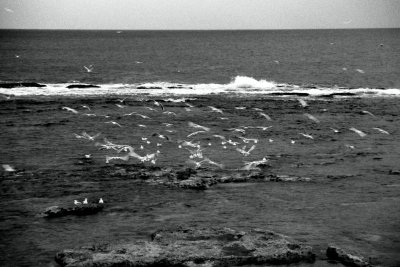g6/08/554308/3/77419714.T23dH7wY.jpg