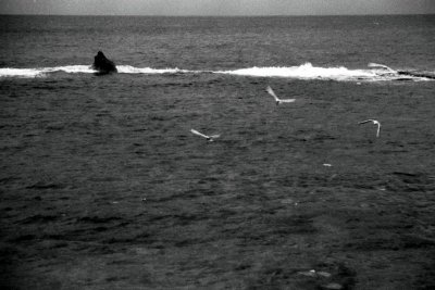 g6/08/554308/3/78382382.K0EJbNjZ.jpg