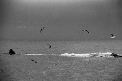 g6/08/554308/3/78382384.lw2I6bGX.jpg