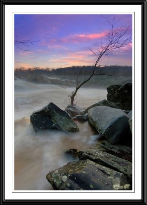 Lone Tree At Sunrise