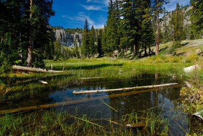 White Pine Lake Outlet