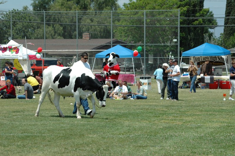 DSC_6093.JPG