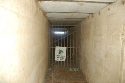DSC_0050.JPG