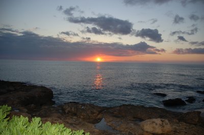 DSC_0305.JPG