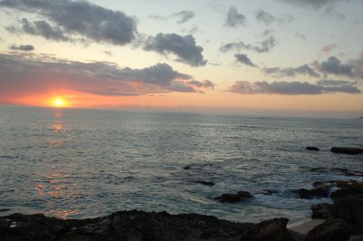 DSC_0308.JPG