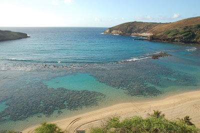 DSC_0009.JPG