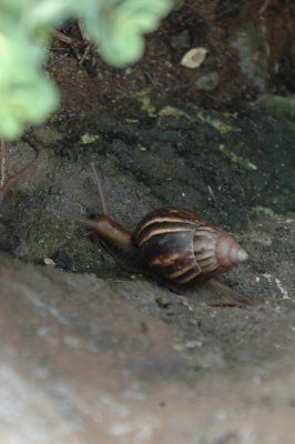 DSC_4017.JPG
