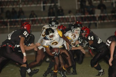 DSC_4852.JPG