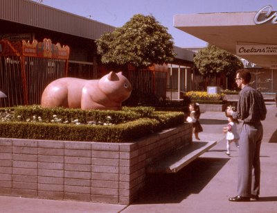  Chris taking photo of Red Cat, 1962