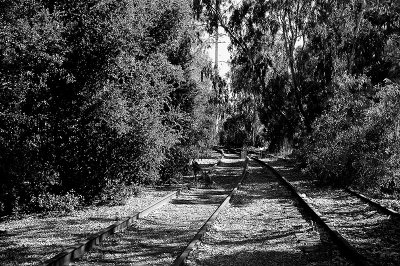 Tracks toward bridge