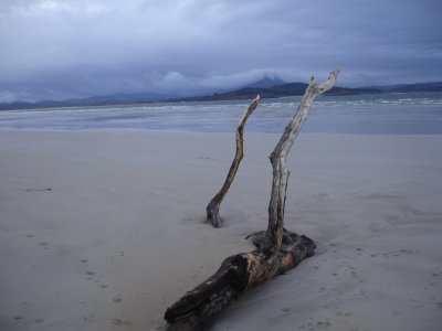 DSC02116.JPG