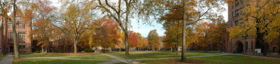 Old Campus, Yale University, USA