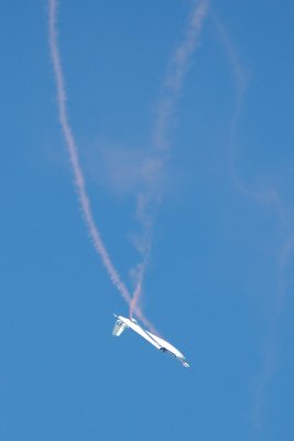 Glider2.jpg