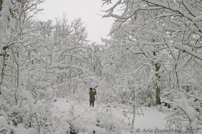 Me trying to photograph birds at Midsland-Noord after snowfall