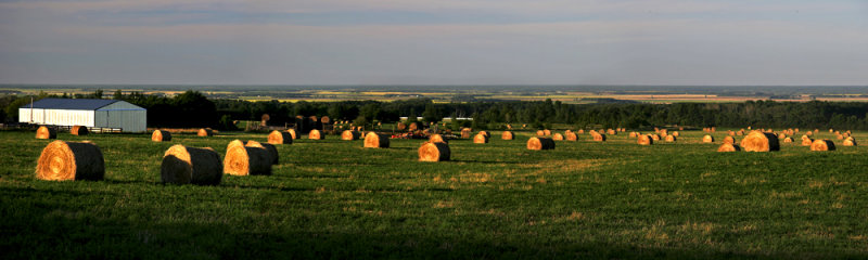 Hey! Bales_233x.jpg
