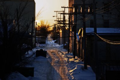 Morning Light_3630.jpg