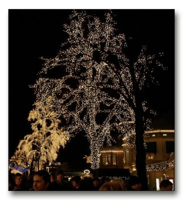 Liseberg at night