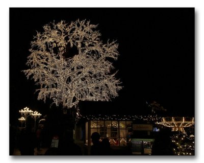 Liseberg at night