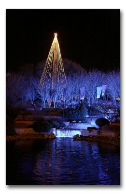 Liseberg at night