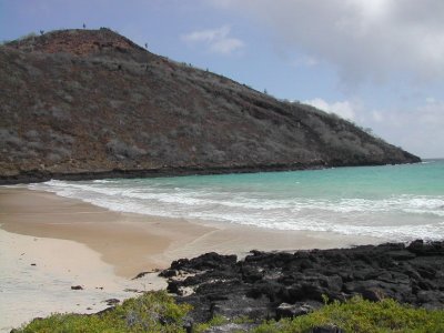 Floreana Island_2.JPG