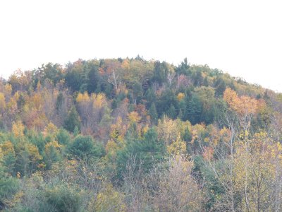 Fall colors near Schroon Lake, NY