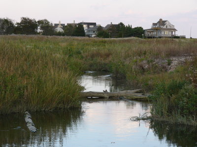 Fenwick marsh, Old Saybrook