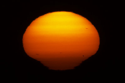 Sun