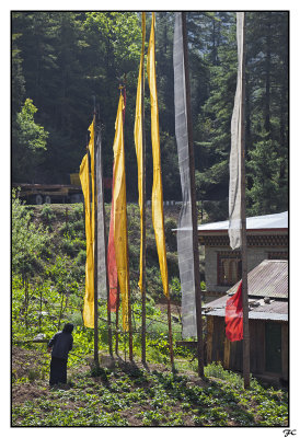 Banderas en Bhutan-Flags in Bhutan