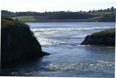 Reversing Falls