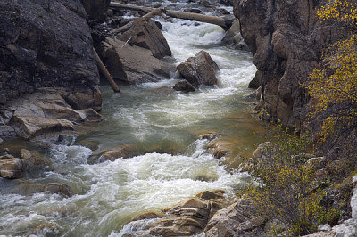 A  Mountain Stream