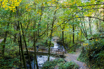 Downstream