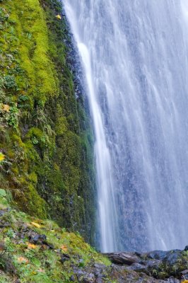 Wahkeena Falls III