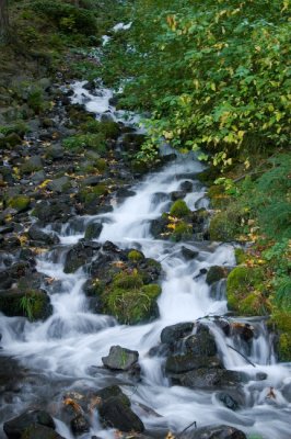 Wahkeena Falls IV