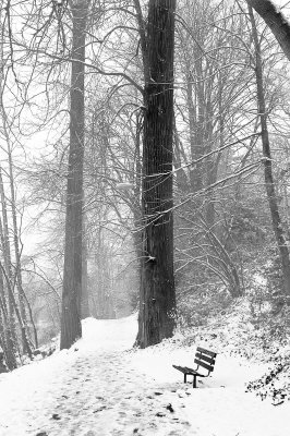 Winter Seat - High Rocks Park, Gladstone