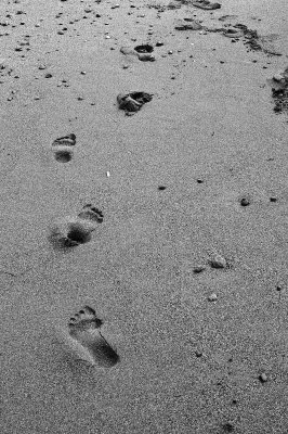 Footprints I - Luffenholtz Beach