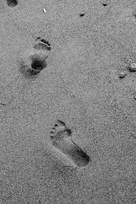 Footprints II - Luffenholtz Beach