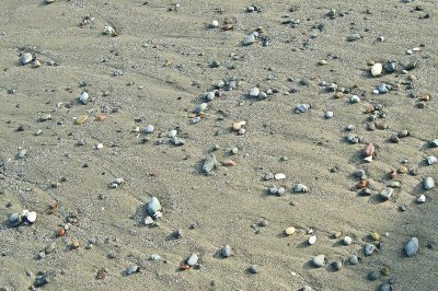 Pebbles - Luffenholtz Beach